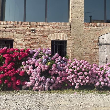 B&B Il Conte Giacomo Viarolo Exterior foto
