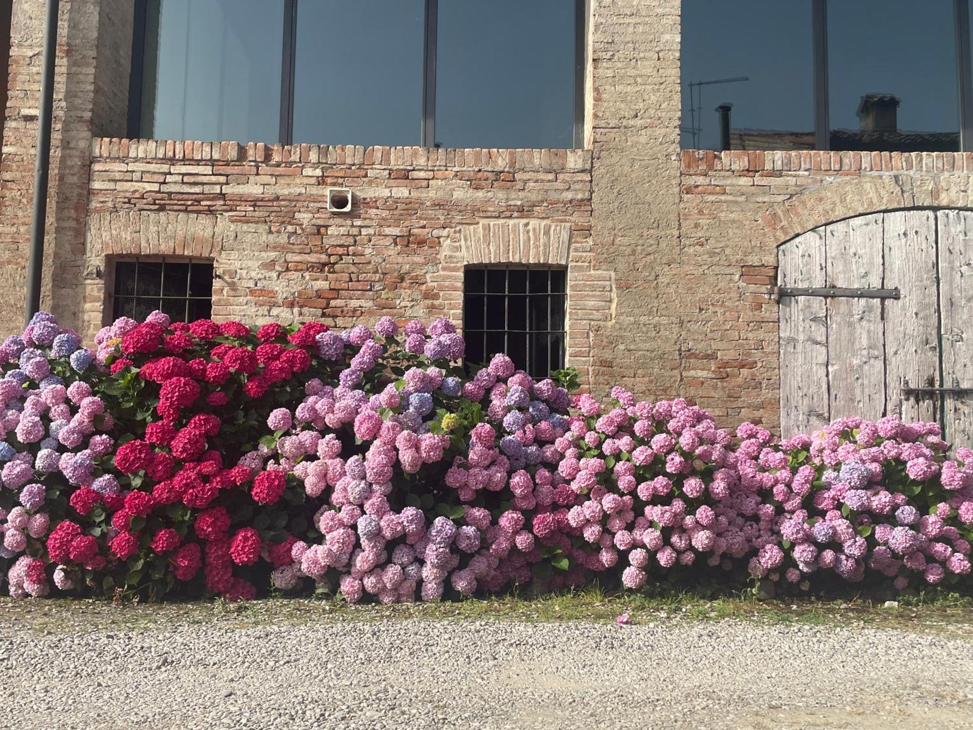 B&B Il Conte Giacomo Viarolo Exterior foto